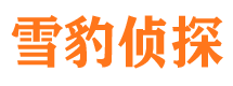 攀枝花外遇调查取证